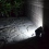 Projecteur 56 LED avec panneau solaire et détecteur de mouvement