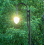 Lanterne de parc LED Bella mât aluminium 6 m noir
