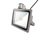  Electriquo Projecteur Micros LED 30W très chaud PIR