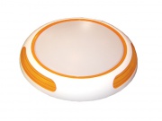  Bowi Plafonnier LED LABOR 24W DW