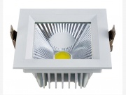 Obligatoire Bowi Aron LED