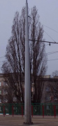  Electriquo Poteau de traction STR