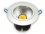 Downlight LED Cob Rowana 20 W Blanc lumière du jour