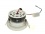Downlight LED Power Albion 5 W Blanc chaud