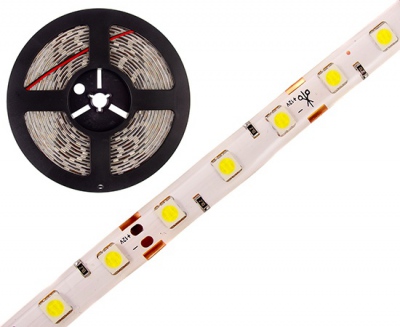 Bande LED blanche 300 LED 5050 IP65 12V