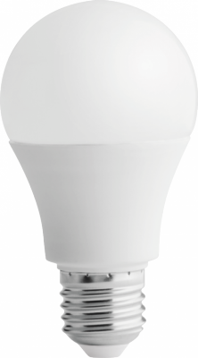 Ampoule LED classique A60 230 V 14 W E27 1 250 lm 1 ct/10 3 000 K 25 000 h équivalent 85 W