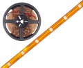 Bande LED bleue 150 LED 5050 IP65 12V