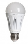 Ampoule LED E27 10W