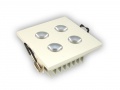 Downlight LED Power Gaby 4*1W Blanc lumière du jour