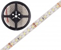 Bande LED 600 LED 3528 IP65 24V blanc froid