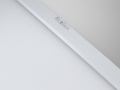 Panneau LED Timan 295 x 1195 48 W 230 V Blanc