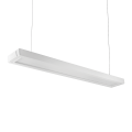 CIRRUS 2 LED zw ED 4350/1900lm/840 PLX di-in blanc